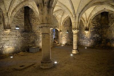 Caves du muse de la Vnerie  Senlis