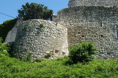 Château médiéval, bourg castral et fortifications de la garde-adhémar à La Garde Adhemar