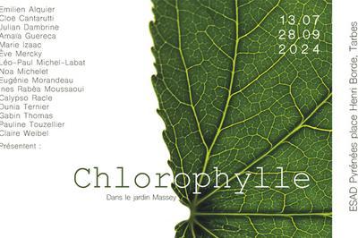 Chlorophylle  Tarbes