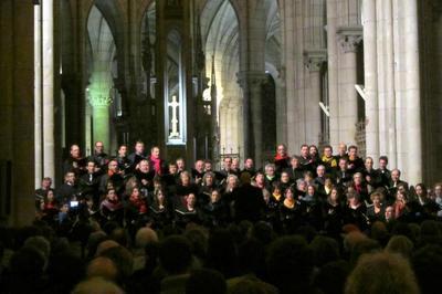 Onpl, Carmina Burana  Nantes