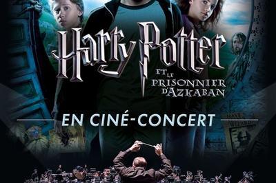 Cin-concert Harry Potter et le prisonnier d'Azkaban  Lyon