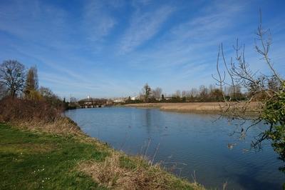 Circuit : balade botanique en musique autour du bassin de chasse  Honfleur