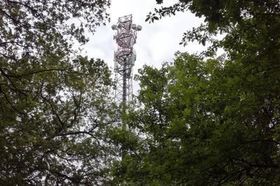 A la dcouverte des voies de communication entre marais et fort !  Vergeroux