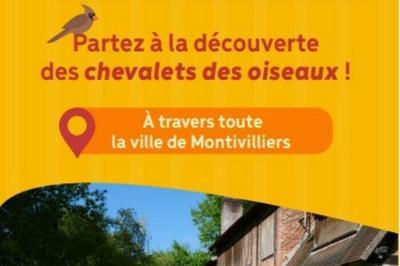 Circuit en autonomie : balade urbaine les chevalets des oiseaux  Montivilliers