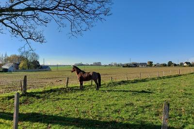 Circuit : randonne des Marettes au belvdre  Gainneville