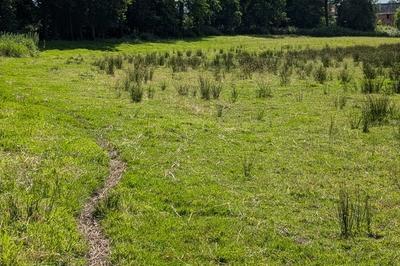 Circuit : sur la trace des moutons  Juvigny les Valles