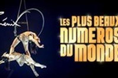 Cirque Phnix : Les Plus Beaux Numros du Monde  Evry