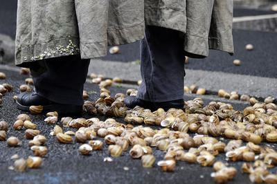 Comme un Escargot en Apne  Chalon sur Saone