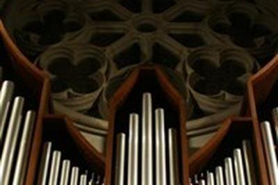 Concert d'orgue  la Basilique Notre-Dame de l'Assomption  Nice