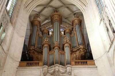 Concert d'orgue  la cathdrale saint-pierre-et-saint-paul  Troyes
