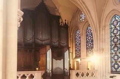 Concert D'orgue Et Visite De L'orgue  L'glise St Ignace  Paris 6me