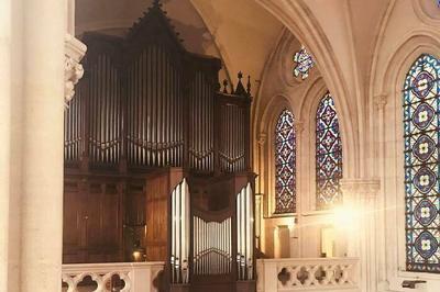 Concert d'orgue et visite exceptionnelle de l'orgue  l'glise St Ignace  Paris 6me