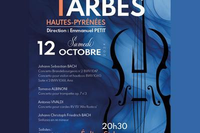 Concert de l'Ensemble Instrumental Tarbes Hautes-Pyrnes