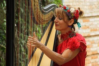 Concert Harpo lectro Et Solo Instrumental Par Rbecca Fron  Toulouse