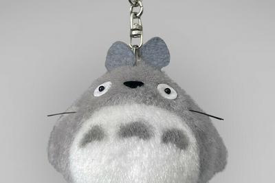 Concert : mon voisin Totoro  Rouen