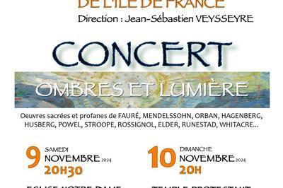 Concert Ombres et Lumire  Bordeaux