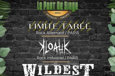 Concert Rock Et Metal à Arras