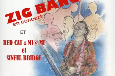 Concert Zig Bang et Red Cat et Miami et Sinful Bridge  La Robine sur Galabre