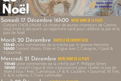 Concert Violon, Flûte et Orgue célébrer l'émotion de Noël en musique à Castres