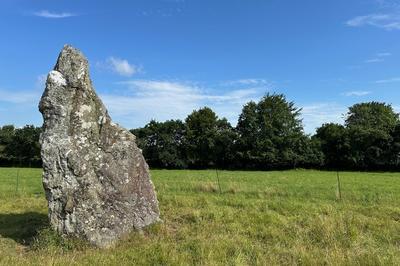 Confrence autour du Menhir du Carn  Loperhet