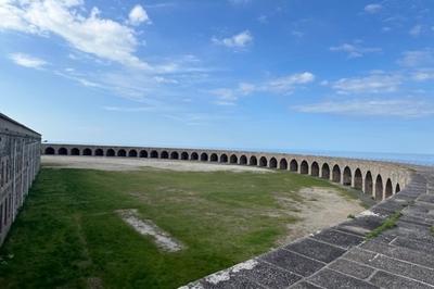 Confrence : colloque sur les fortifications militaires  Cherbourg-en-Cotentin