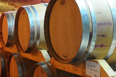 Confrence Dgustation Histoire De La Vigne En Roussillon  Rivesaltes