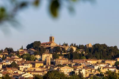 Confrence  Chateauneuf de Gadagne