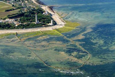 Confrence : les cluses  poissons dans l'le de R   Le Bois Plage en Re