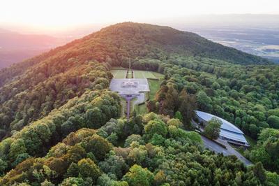 Connexions historiques autour du Hartmannswillerkopf  Wattwiller