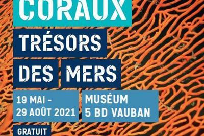 Coraux, Trsors Des Mers  Auxerre