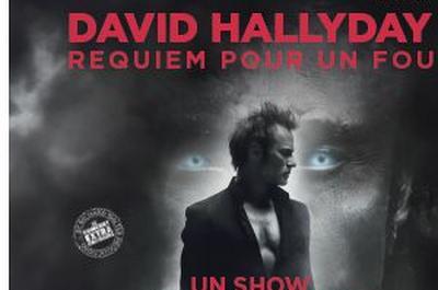 David Hallyday  Auxerre