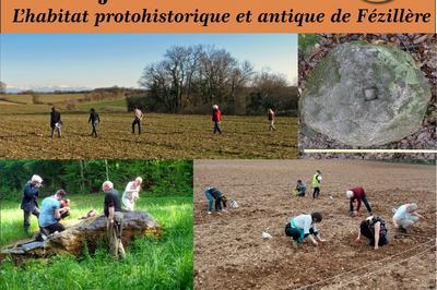 De L'objet Au Site: L'habitat Rural Protohistorique Et Antique De Fzillre  Bron