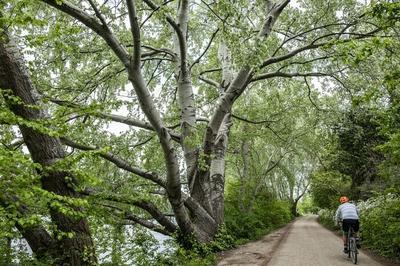 De la Seine  la Seine : Randonne patrimoine, culture et nature de Colombes  Courbevoie, en passant par Bois-Colombes