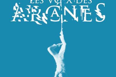 Dambulation audiovisuelle : Les Voix des Arcanes  Saint Omer
