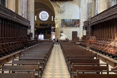 Dambulation commente  la cathdrale Saint-tienne  Toulouse