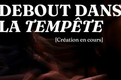 Debout dans la tempte,1939-1945 : lectures d'archives  Chambery