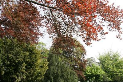 Dcouverte d'un parc botanique  Reims