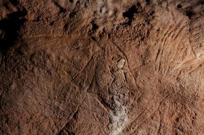 Dcouverte d'une grotte orne du Palolithique !  Eyzies de Tayac Sireuil