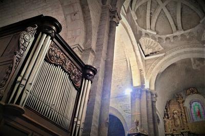 Dcouverte de l'orgue clergeau de Sainte-Croix  Oloron sainte Marie