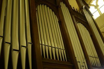 Dcouverte de l'Orgue  Lille