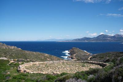 Dcouverte de la presque-le de la Revellata  Calvi