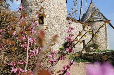 Dcouverte des moulins de Faugres  Faugeres