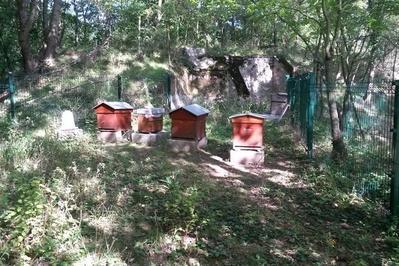 Visites des ruches du fort de sucy à Sucy en Brie
