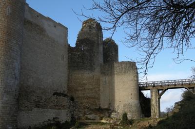 Dcouverte du chteau de Genay  Gencay