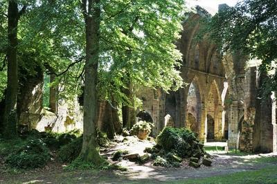 Découverte du parc de l'ancienne abbaye cistercienne à Trois Fontaines l'Abbaye