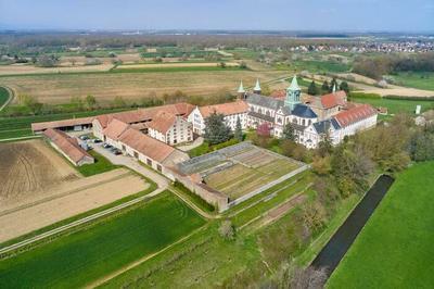 Dcouverte du patrimoine agricole d'une abbaye lors d'une visite commente  Reiningue