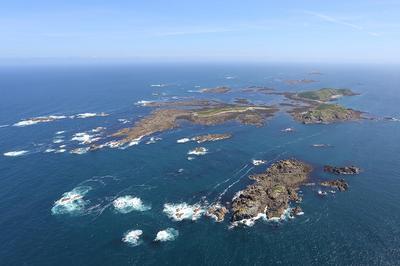 Dcouverte du patrimoine marin   Perros Guirec