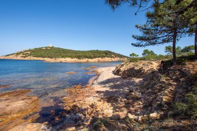 Dcouverte du sentier du littoral de Pinareddu  Zonza