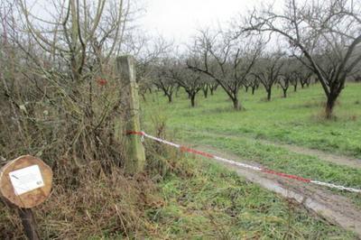 Dcouvrez avec un apiculteur un cosystme au service de la biodiversit  Bulligny