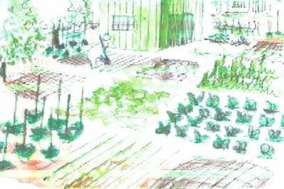 Découvrez ces jardins familiaux et son rucher développés en permaculture par des habitants à Saint Agnant